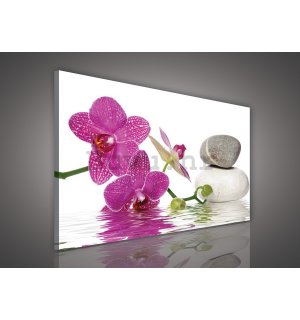 Slika na platnu: Orhideja sa kamenjem - 75x100 cm