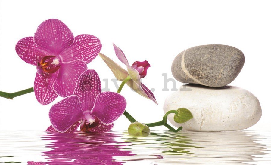 Slika na platnu: Orhideja sa kamenjem - 75x100 cm