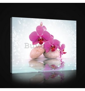 Slika na platnu: Orhideja sa kamenjem (2) - 75x100 cm
