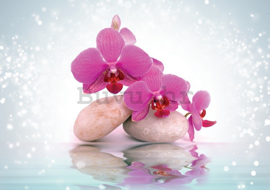 Slika na platnu: Orhideja sa kamenjem (2) - 75x100 cm