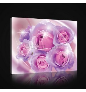 Slika na platnu: Ružičasta ruža - 75x100 cm