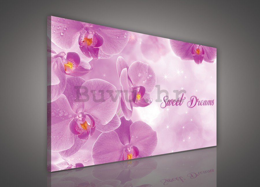 Slika na platnu: Orhideje (Sweet dreams) - 75x100 cm