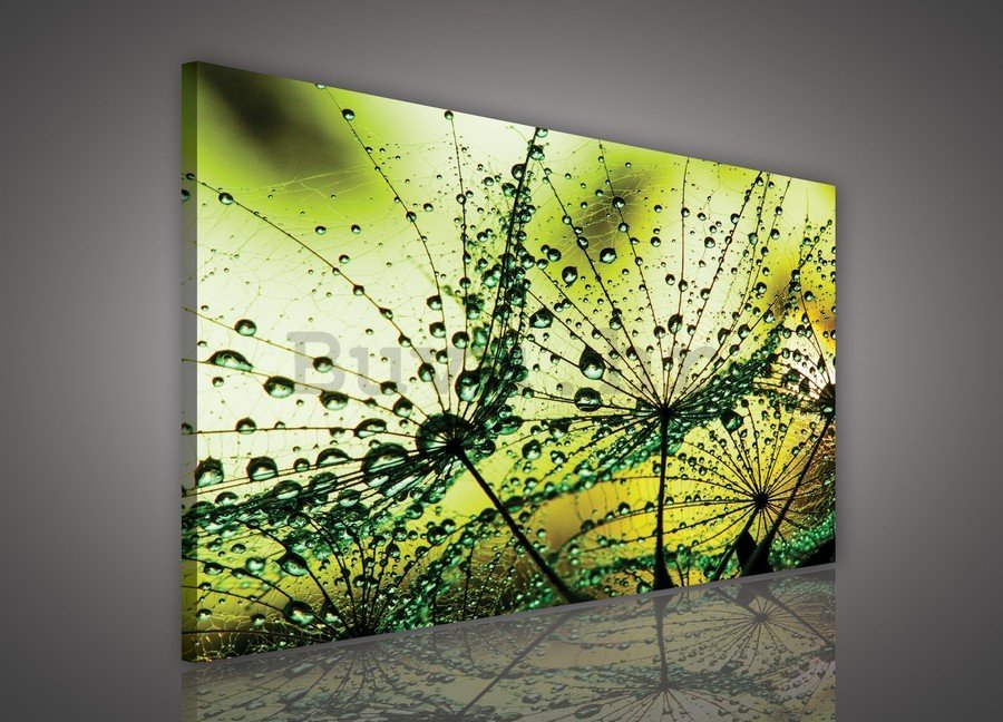 Slika na platnu: Kapi kiše (2) - 75x100 cm