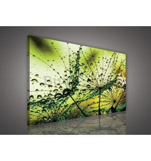 Slika na platnu: Kapi kiše (2) - 75x100 cm