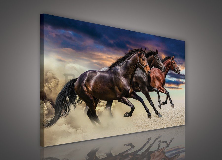 Slika na platnu: Galopirajući konji - 75x100 cm