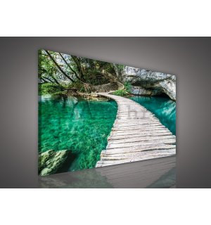 Slika na platnu: Drveni pješački most (2) - 75x100 cm