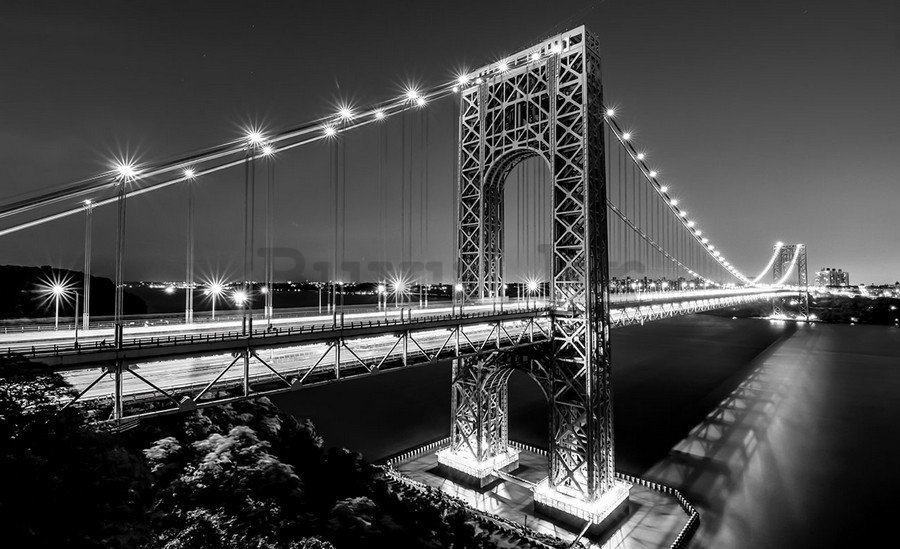 Slika na platnu: Manhattan Bridge (crno-bijeli) - 75x100 cm