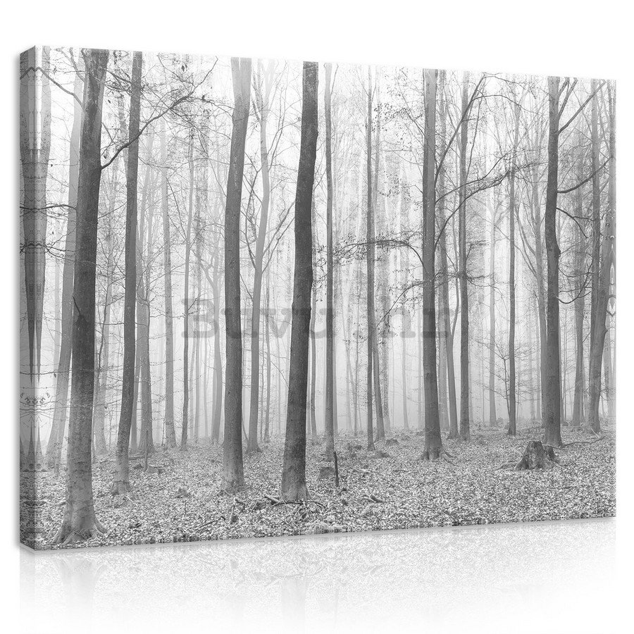 Slika na platnu: Magla u šumi (2) - 75x100 cm