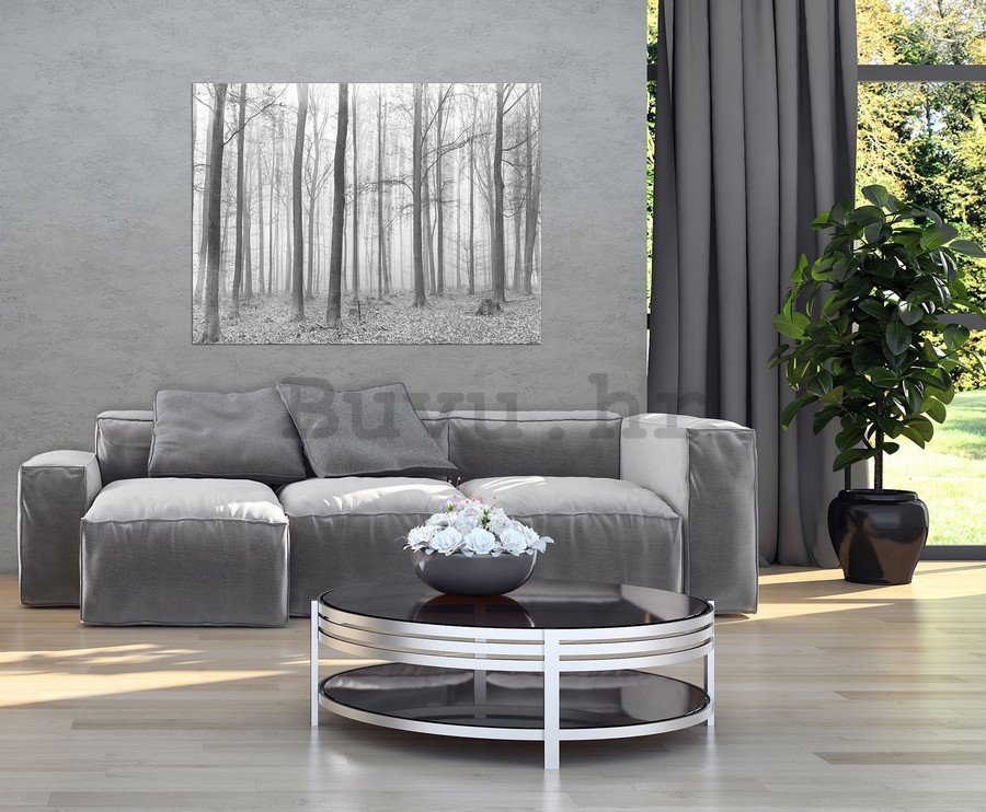Slika na platnu: Magla u šumi (2) - 75x100 cm