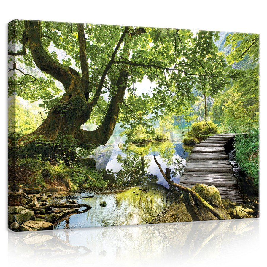 Slika na platnu: Šumski bazen (3) - 75x100 cm