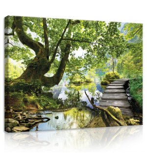 Slika na platnu: Šumski bazen (3) - 75x100 cm