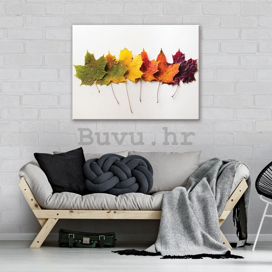Slika na platnu: Jesensko lišće - 75x100 cm