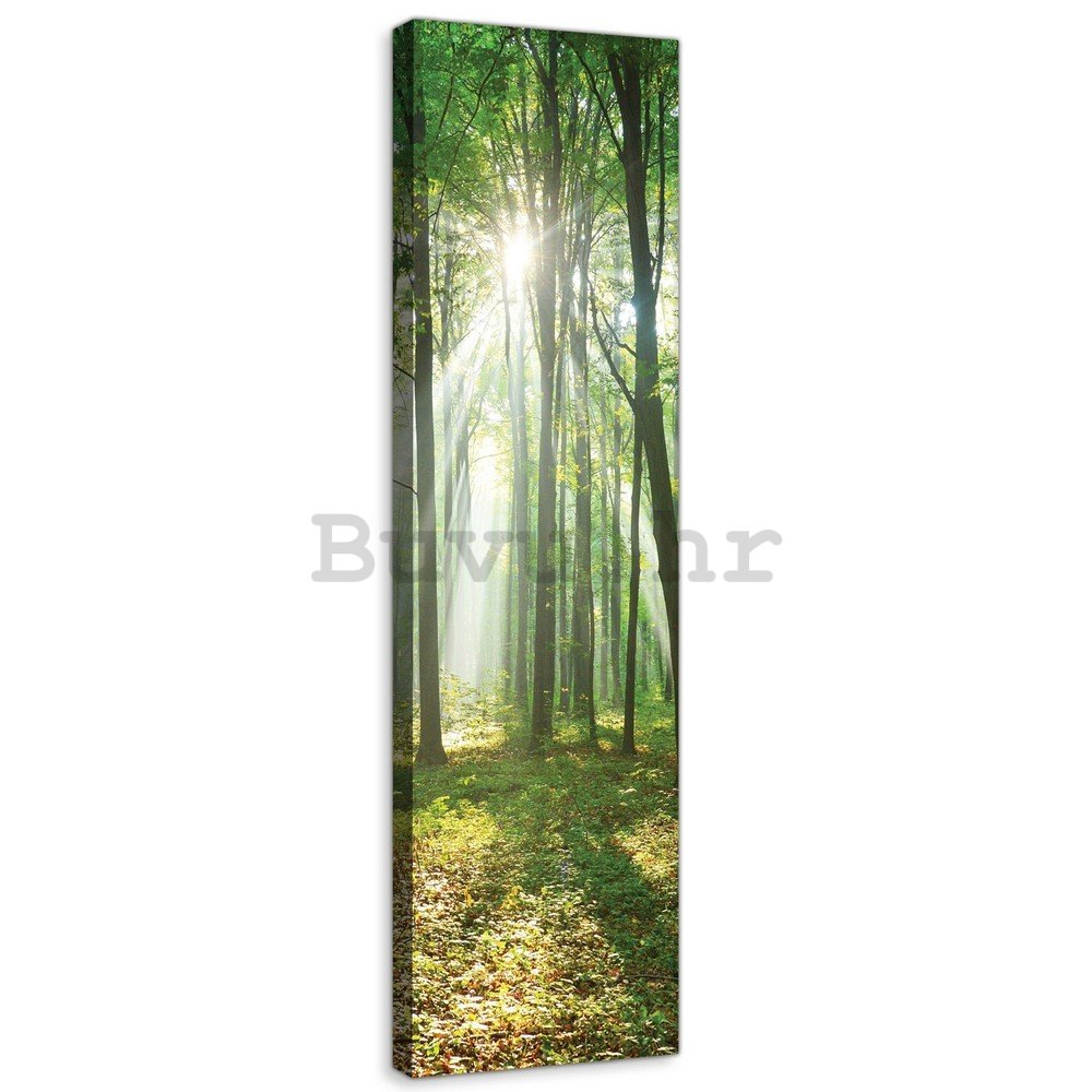 Slika na platnu: Sunce u šumi (3) - 145x45 cm