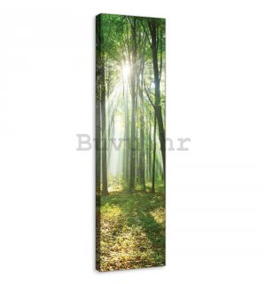 Slika na platnu: Sunce u šumi (3) - 145x45 cm
