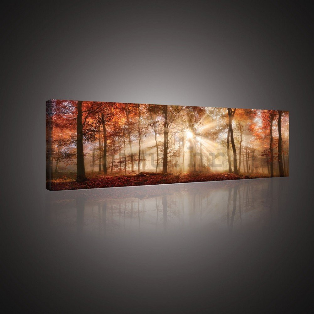 Slika na platnu: Svitanje u šumi - 145x45 cm