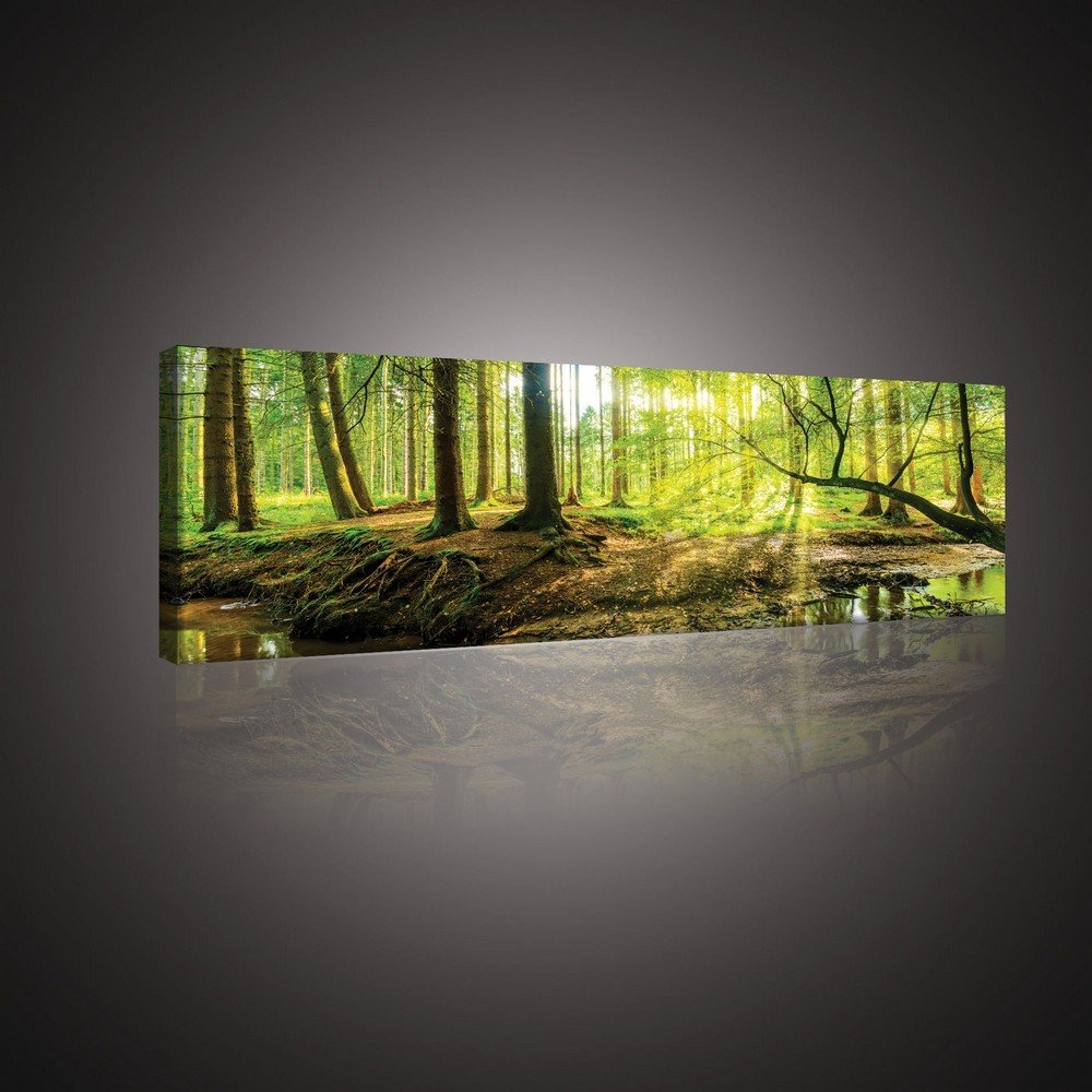 Slika na platnu: Poplavna šuma - 145x45 cm