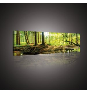 Slika na platnu: Poplavna šuma - 145x45 cm