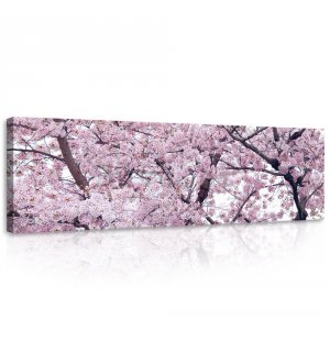 Slika na platnu: Cvjetanje trešnje (1) - 145x45 cm
