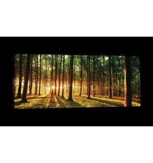 Slika na platnu: Zalazak sunca u šumi - 145x45 cm