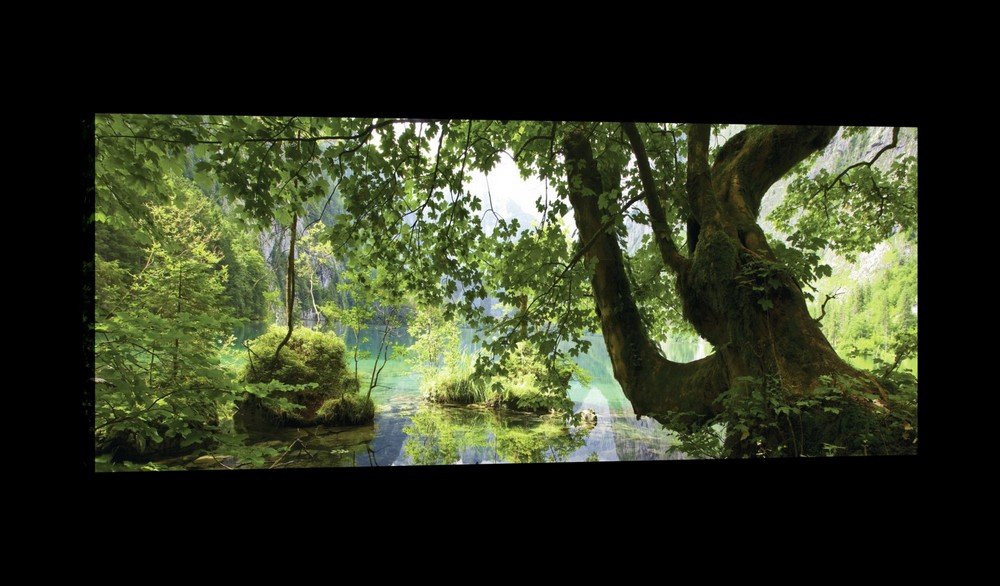 Slika na platnu: Šumski bazen - 145x45 cm