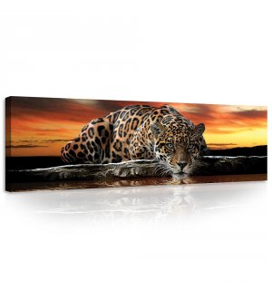 Slika na platnu: Jaguar - 145x45 cm