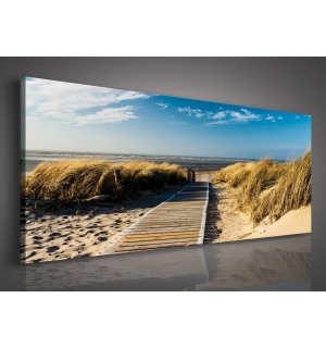 Slika na platnu: Put na plažu - 145x45 cm