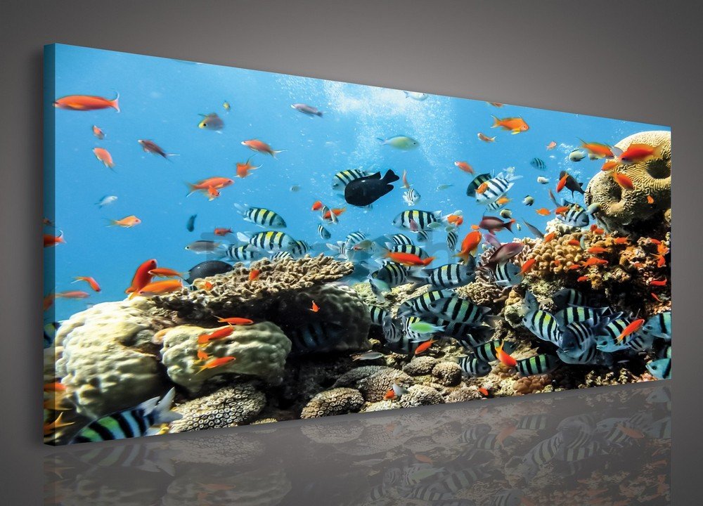 Slika na platnu: Koraljni greben - 145x45 cm