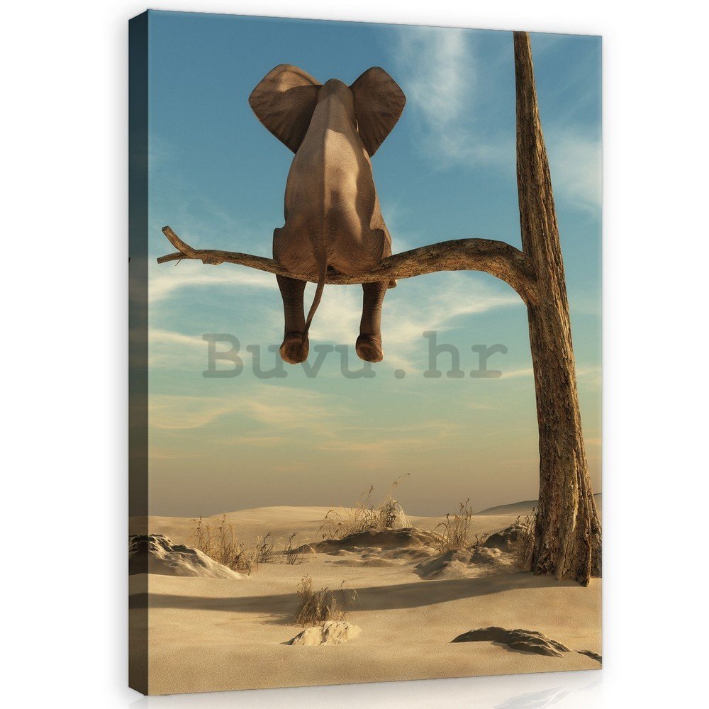 Slika na platnu: Slon na drvetu - 100x75 cm