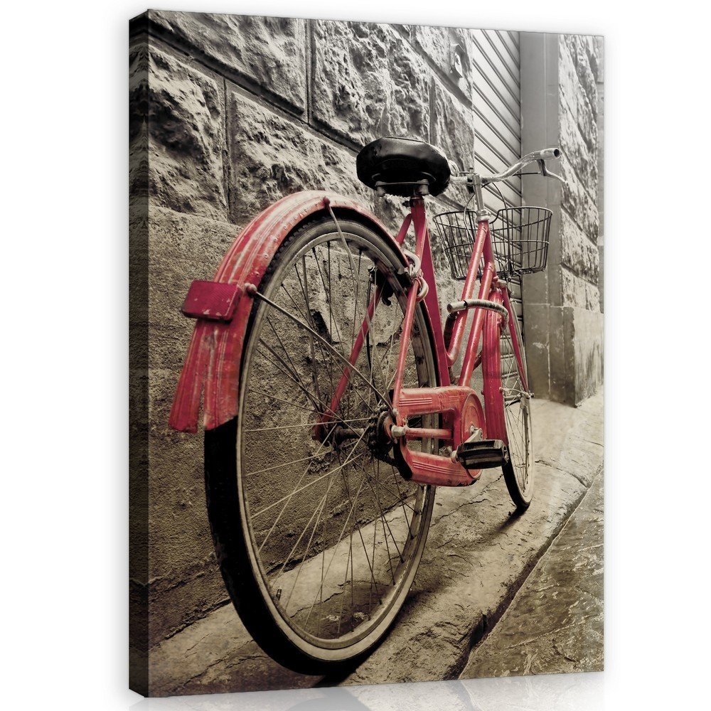 Slika na platnu: Ružičasti bicikl - 100x75 cm