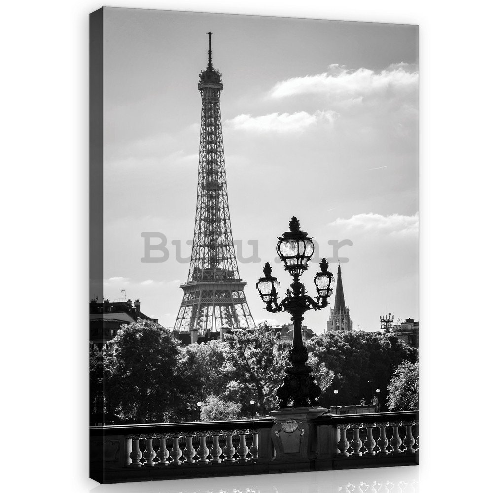 Slika na platnu: Crno-bijeli Eiffelov toranj - 100x75 cm