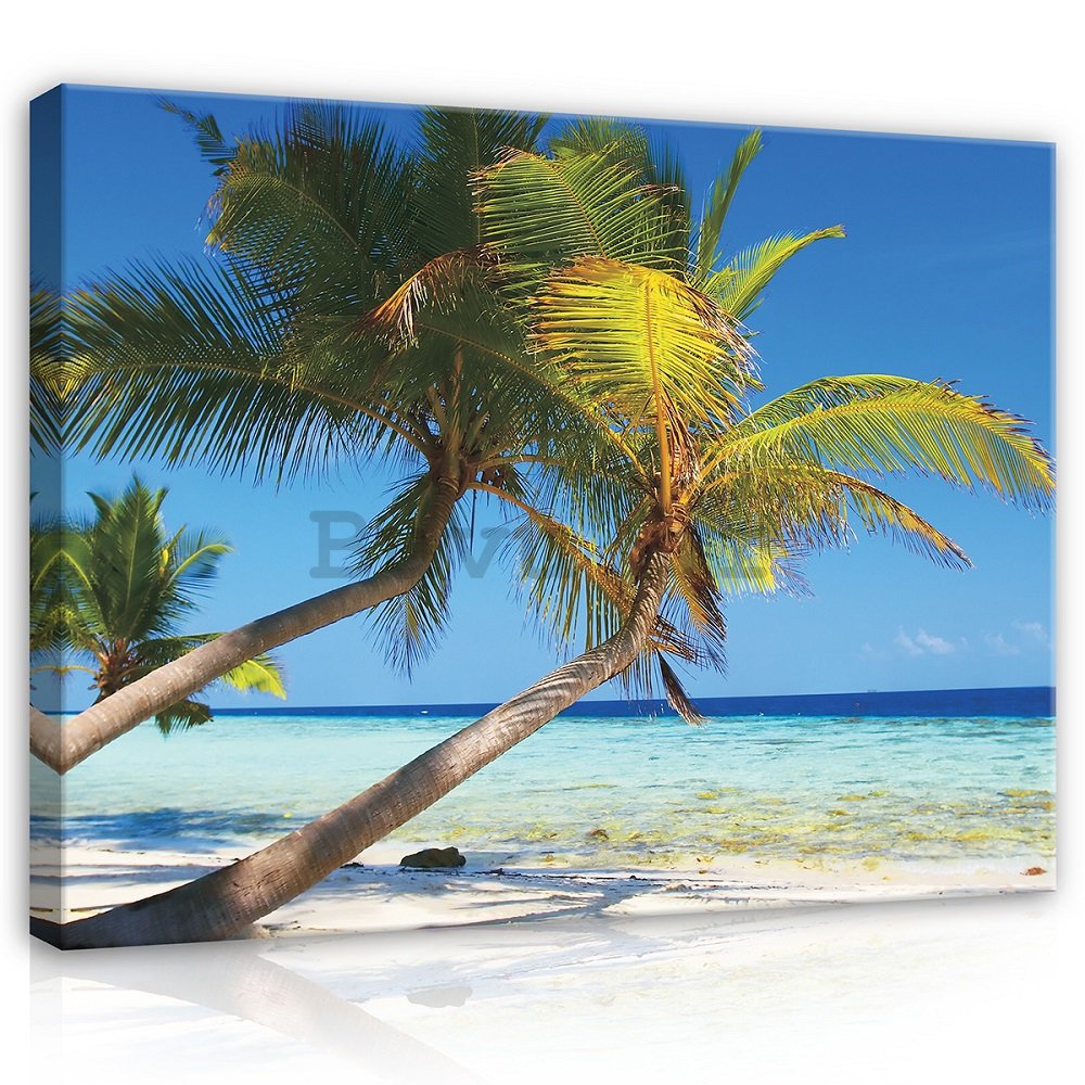 Slika na platnu: Plaža sa palmom - 75x100 cm