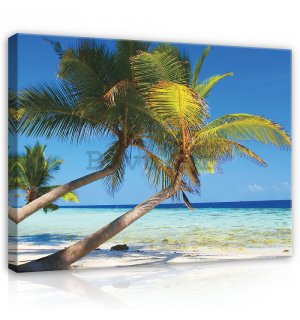 Slika na platnu: Plaža sa palmom - 75x100 cm