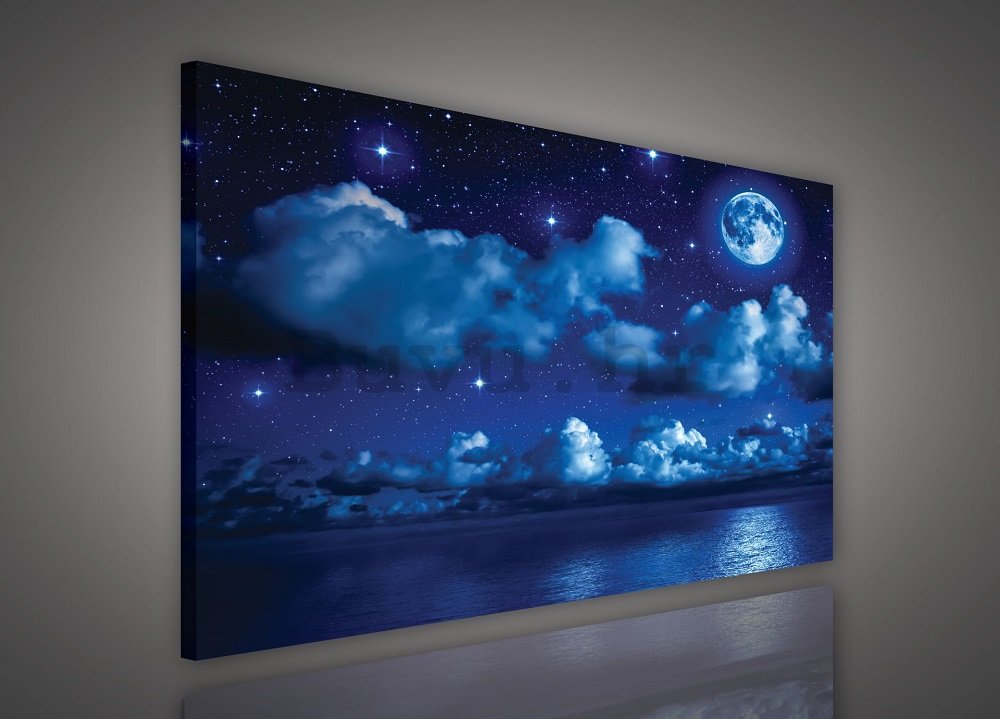 Slika na platnu: Mjesečna noć - 75x100 cm