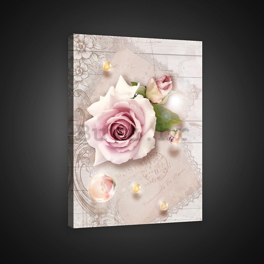 Slika na platnu: Ruže u pozadini - 100x75 cm