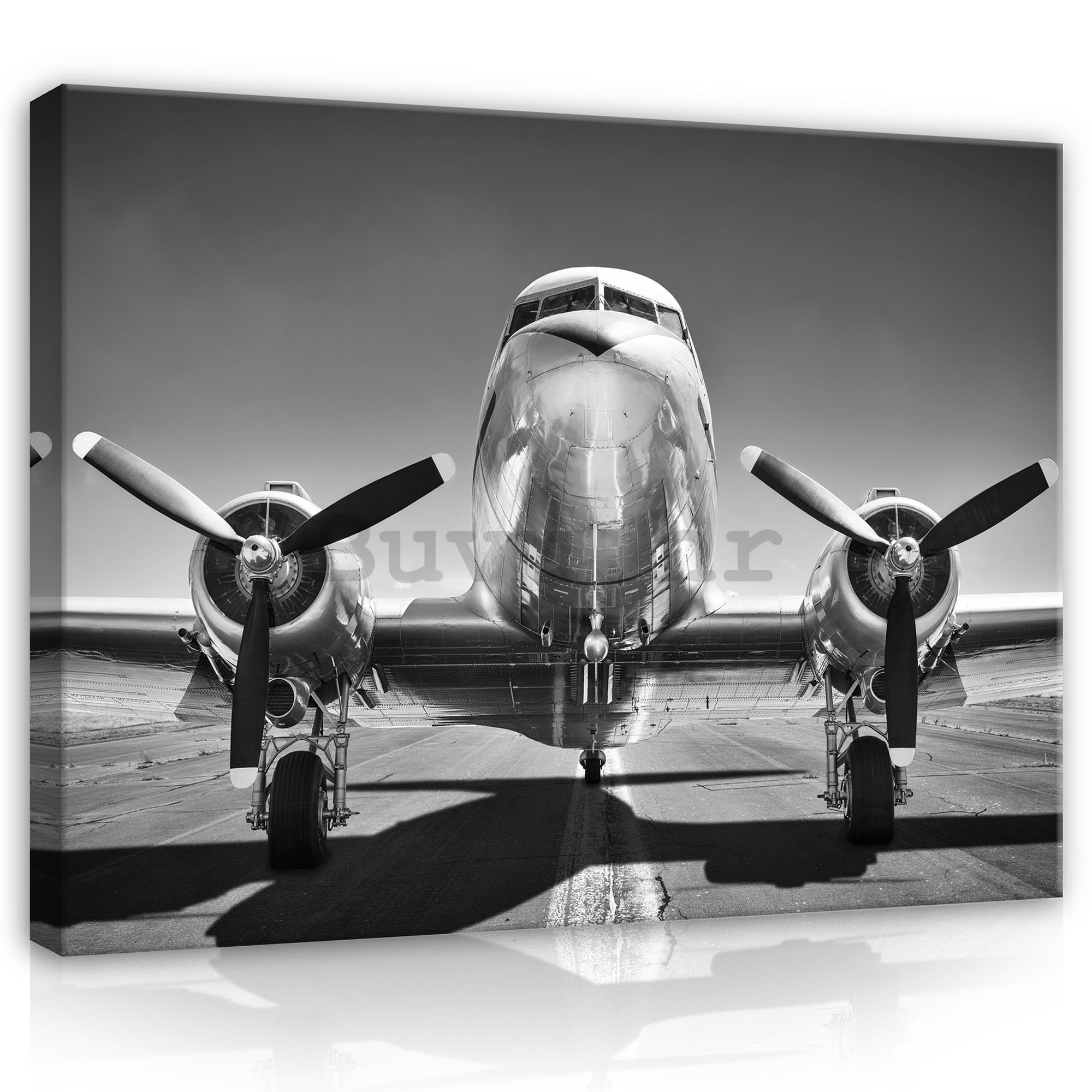 Slika na platnu: Crno-bijeli zrakoplovi (1) - 75x100 cm