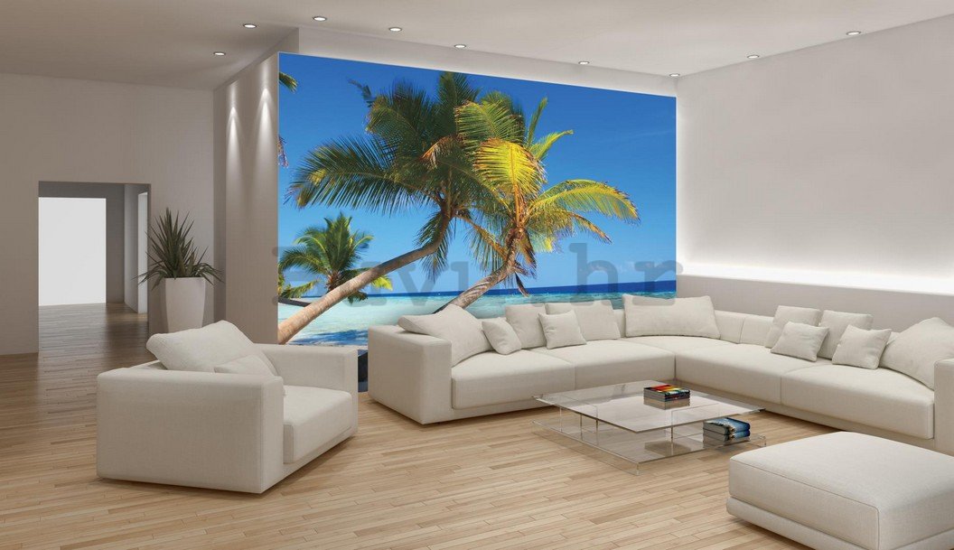 Foto tapeta Vlies: Plaža sa palmom - 184x254 cm