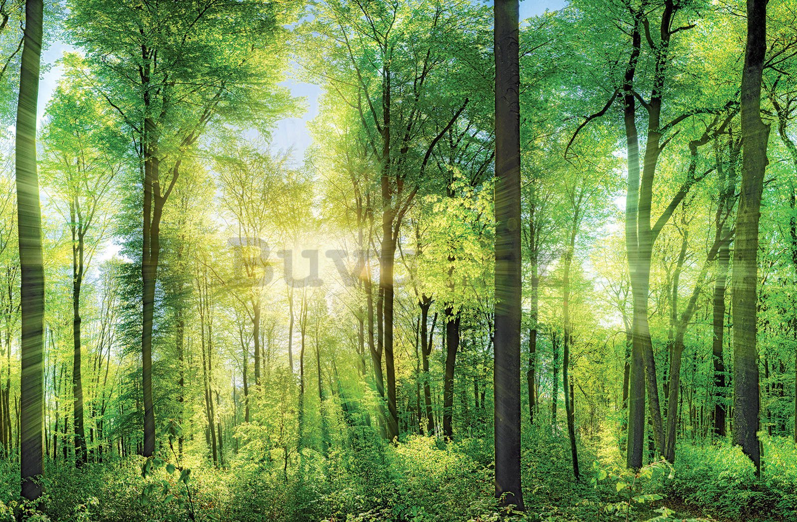 Slika na platnu: Zelena šuma (1) - 116x76 cm