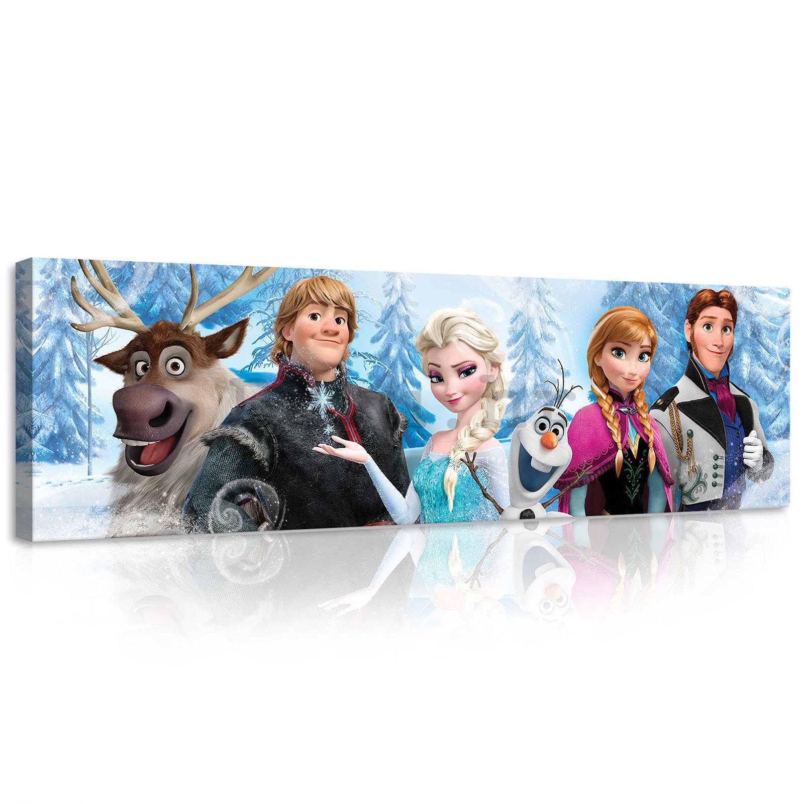 Slika na platnu: Frozen (12) - 145x45 cm