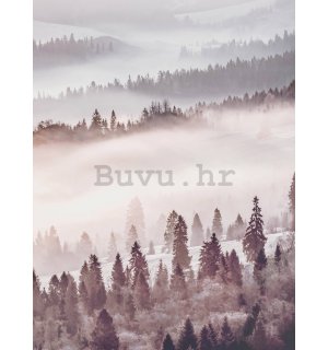 Foto tapeta: Magla šuma - 184x254 cm