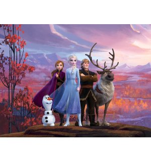 Foto tapeta Vlies: Frozen II - 360x270 cm