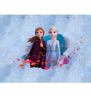 Foto tapeta Vlies: Frozen II (Anna & Elsa) - 360x270 cm