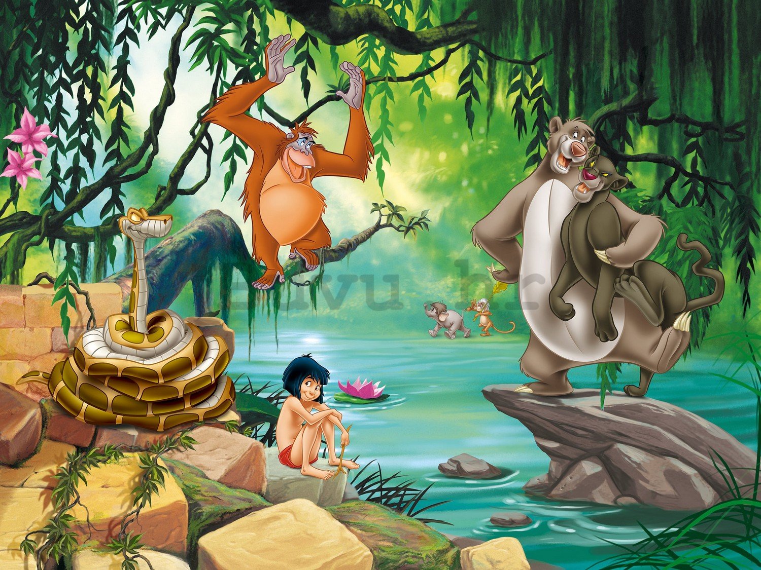 Foto tapeta Vlies: The Jungle Book - 360x270 cm