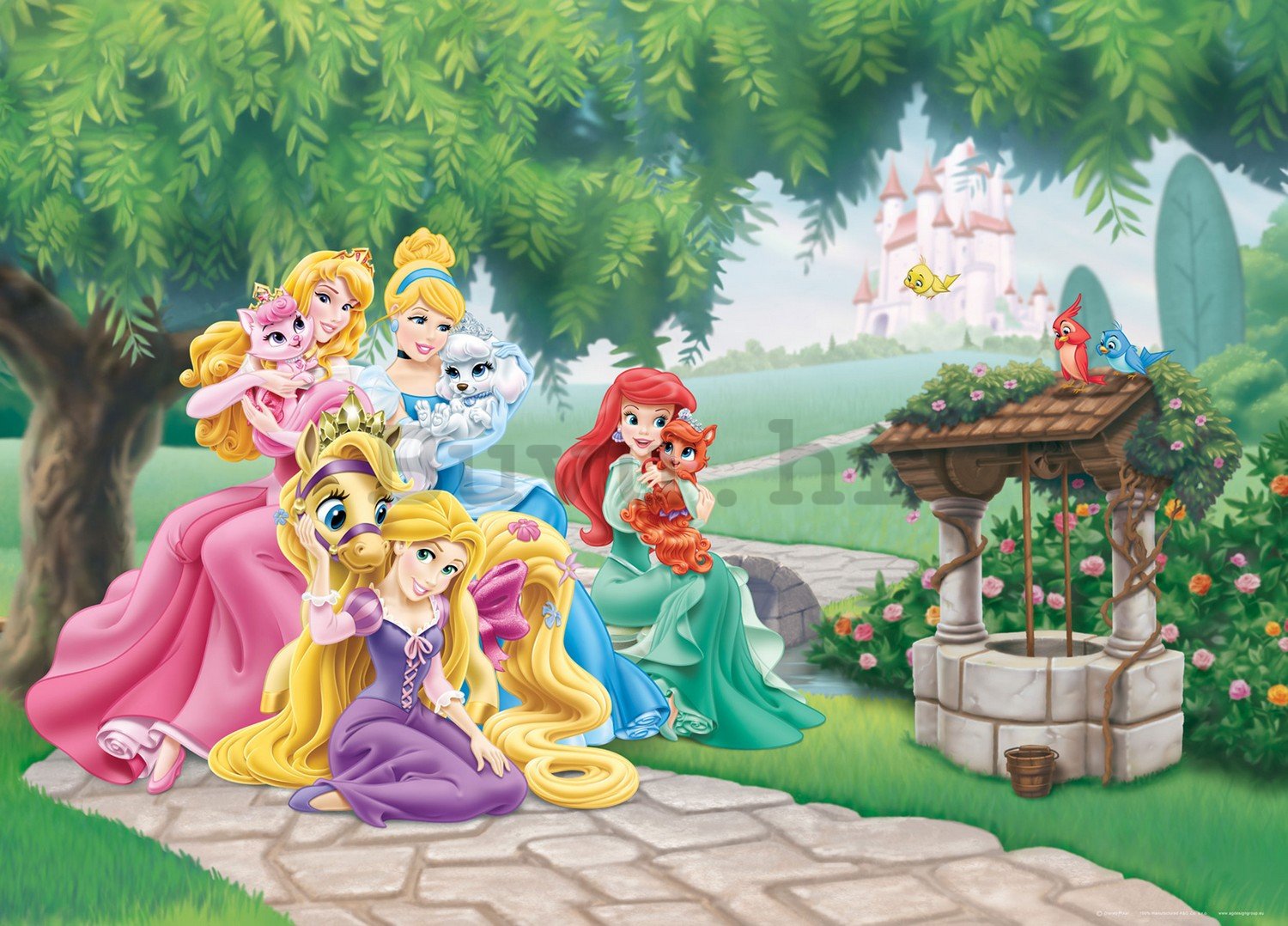 Foto tapeta Vlies: Disney princess - 160x110 cm