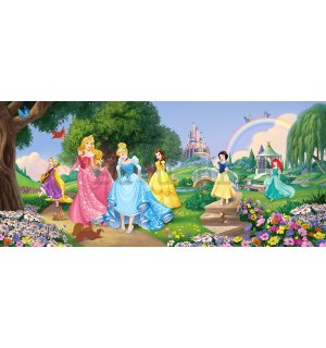 Foto tapeta Vlies: Disney princess (panorama)  - 202x90 cm