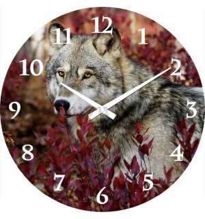 Zidni stakleni sat: Wolf - 38 cm