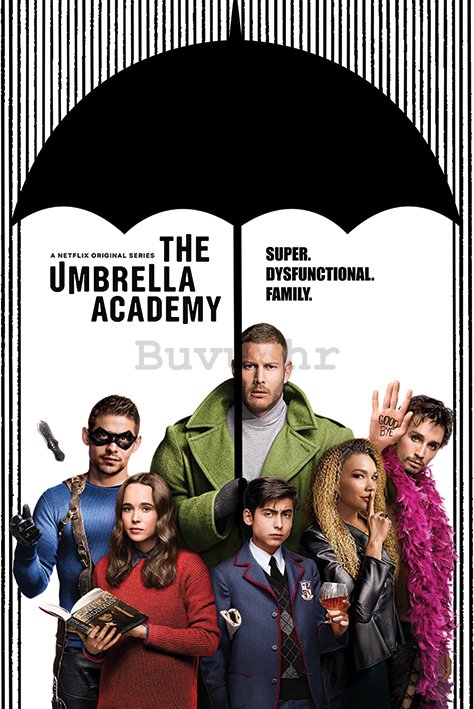 Poster - The Umbrella Academy (Super Dysfunctional Family) 