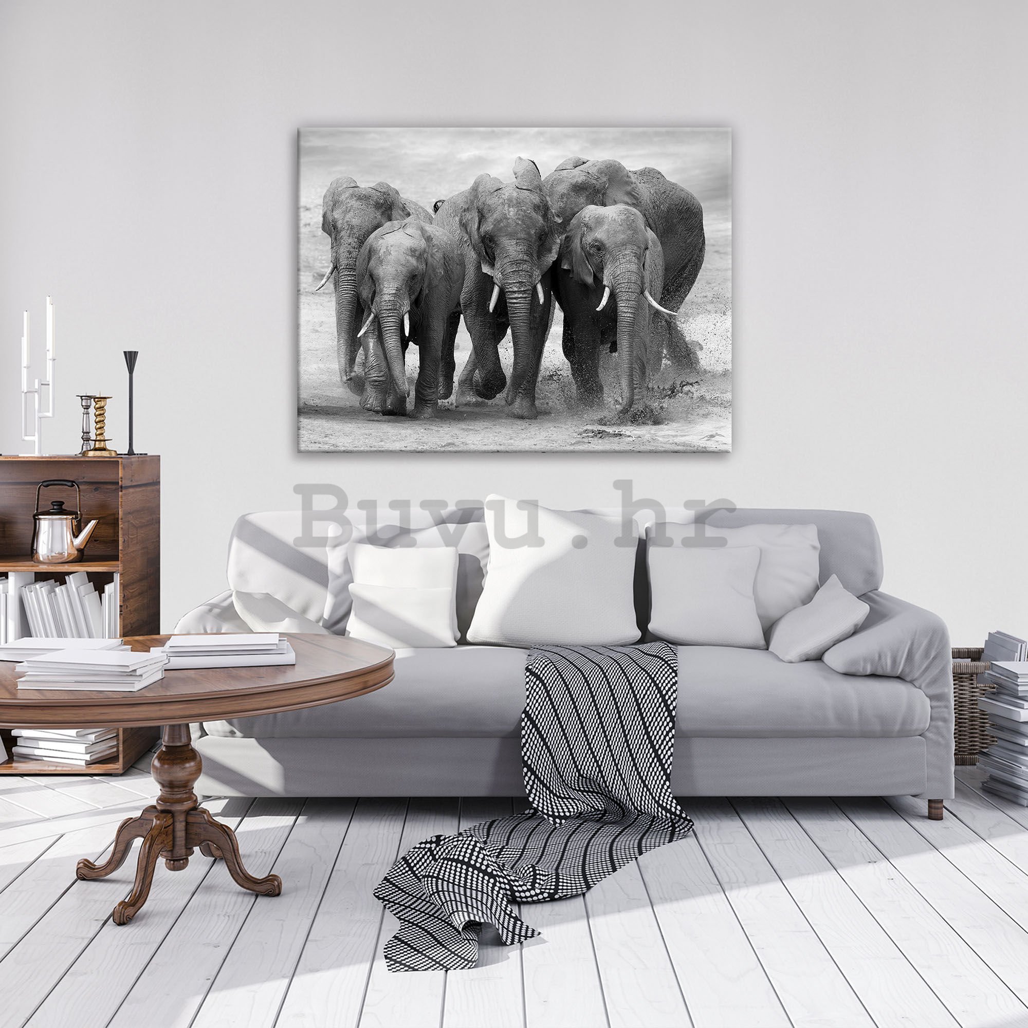 Slika na platnu: Slonovi - 80x60 cm