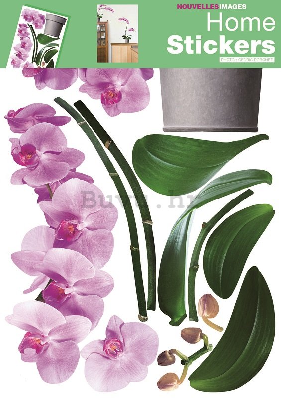 Naljepnica za zid - Orhideje