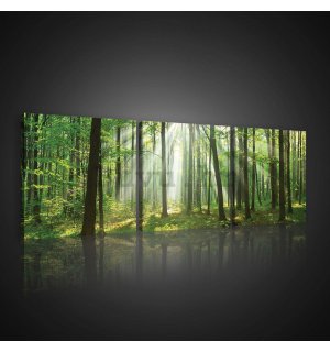 Slika na platnu: Sunce u šumi (3) - set 3kom 25x25cm