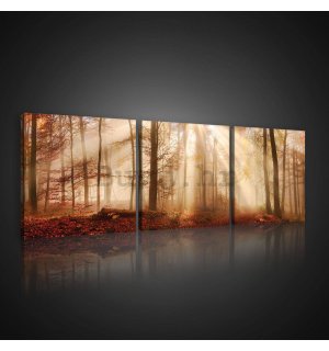 Slika na platnu: Svitanje u šumi - set 3kom 25x25cm